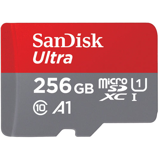 256GB SD Card